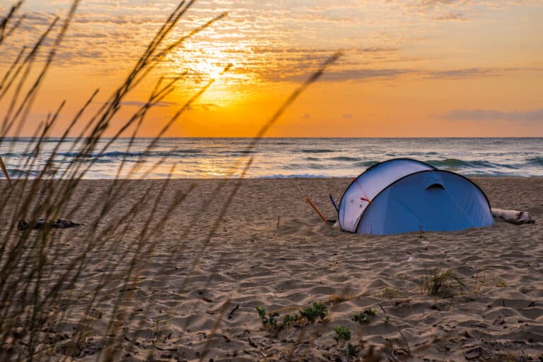 Best Tent Stakes for Sand: Top Picks for a Secure Beach Campsite