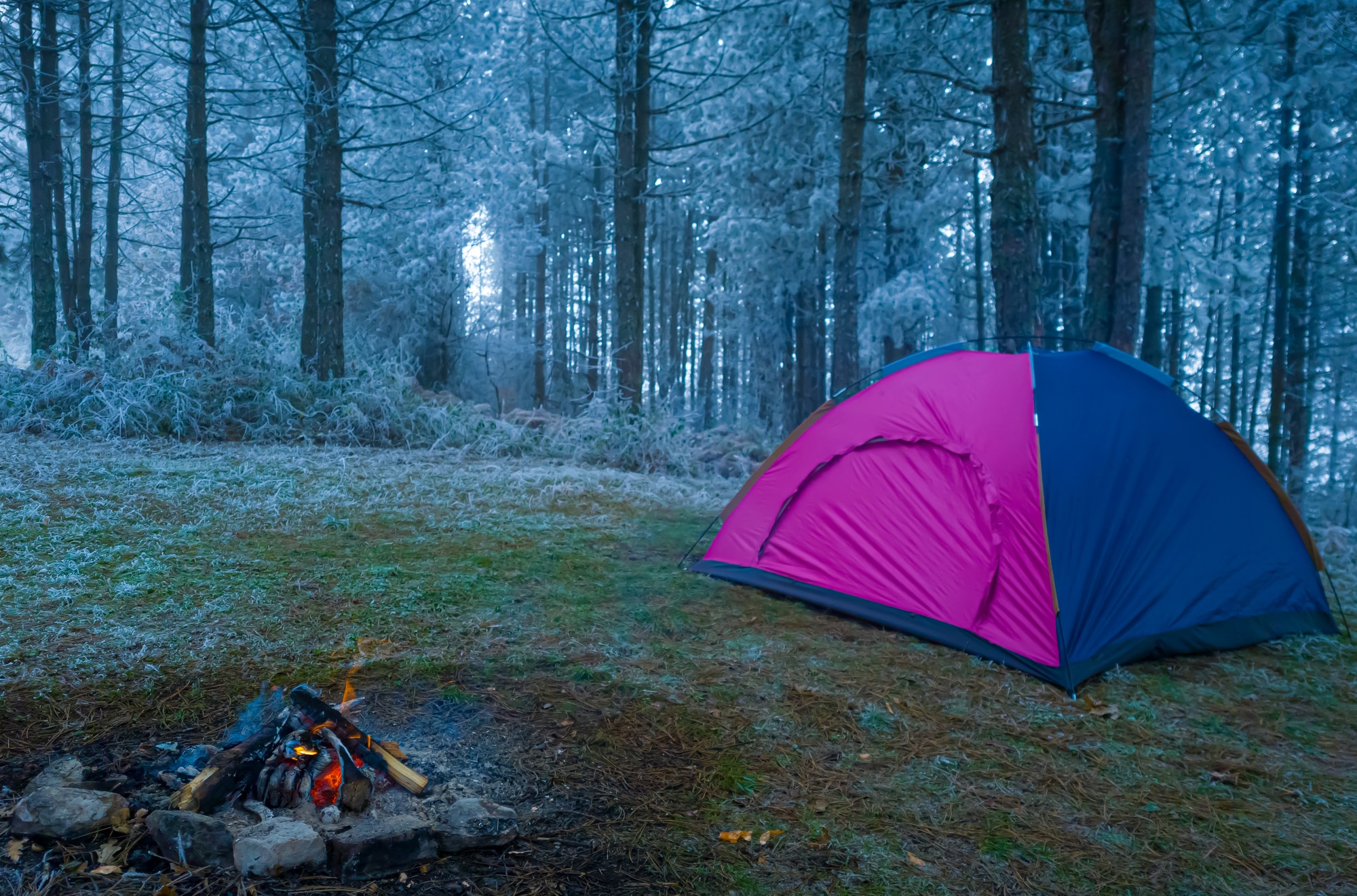 Best Extreme Cold Weather Tents: Your Ultimate Guide to Staying Warm